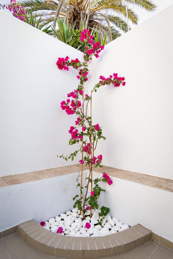 Ds Traditional Villas Santorini Island Karterados  Luaran gambar