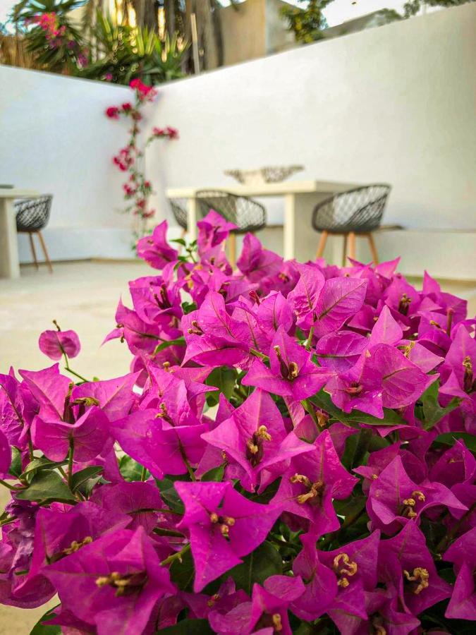 Ds Traditional Villas Santorini Island Karterados  Luaran gambar